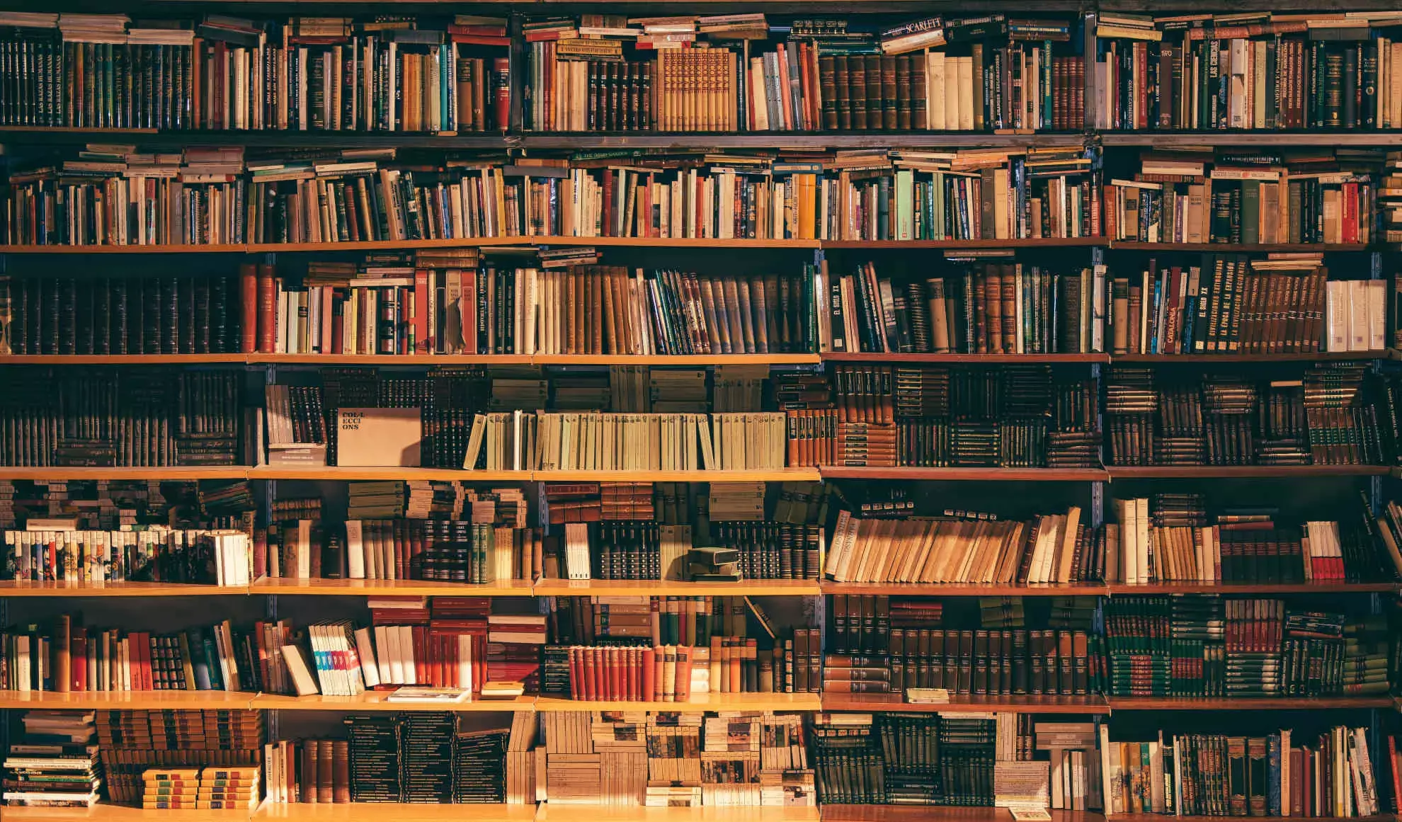 Wie schreibe ich ein Buch? Die 10 wichtigsten Tipps