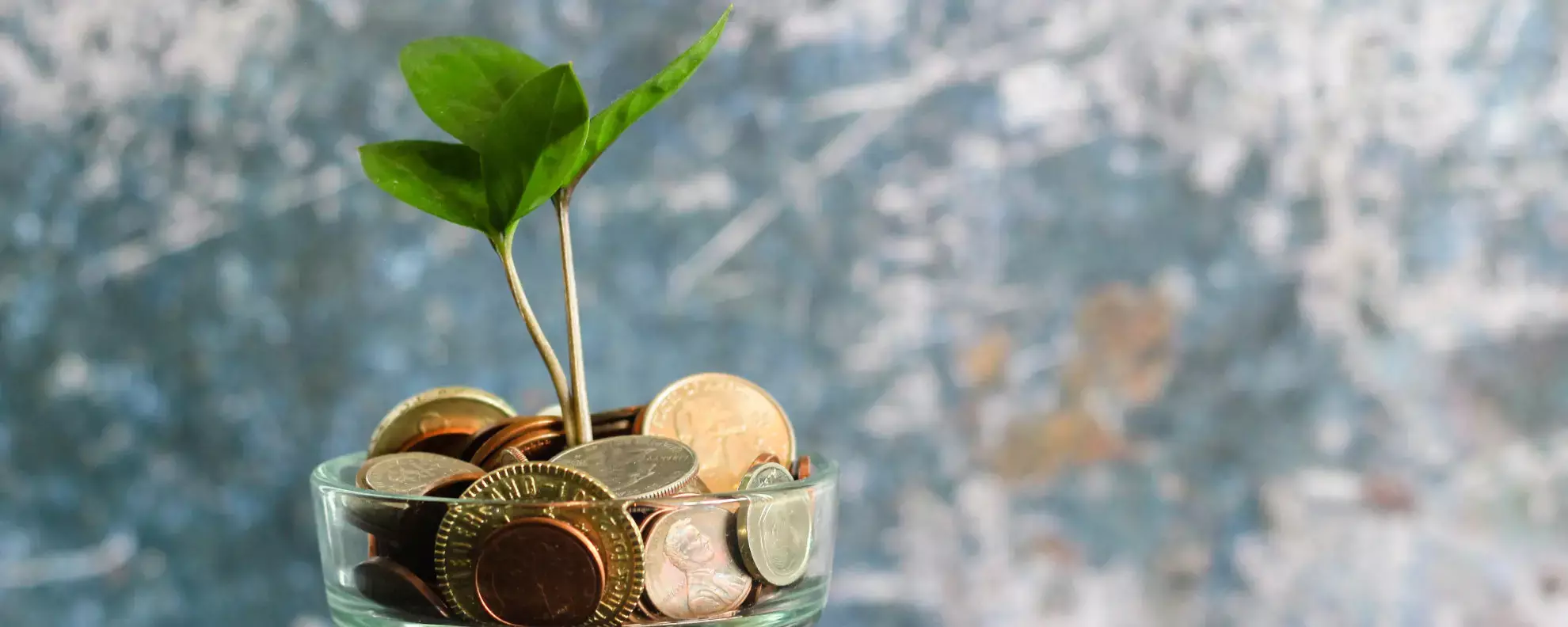 Altersvorsorge für Frauen: 5 Tipps, wie Du am besten vorgehst