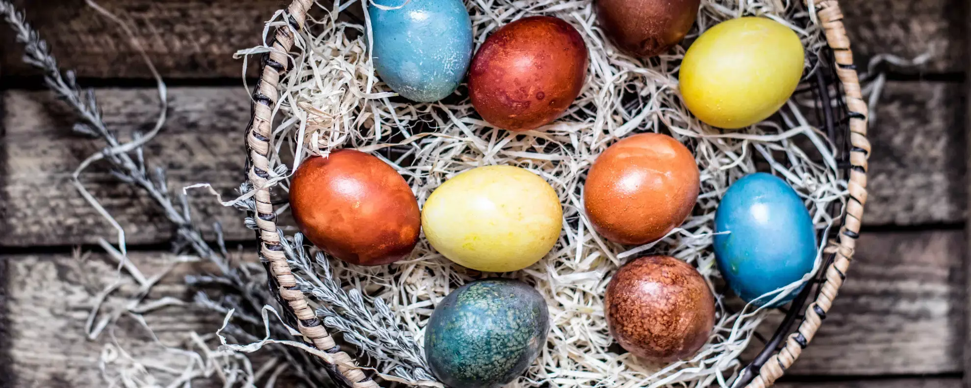 4 exklusive Geschenke zu Ostern für Wissbegierige