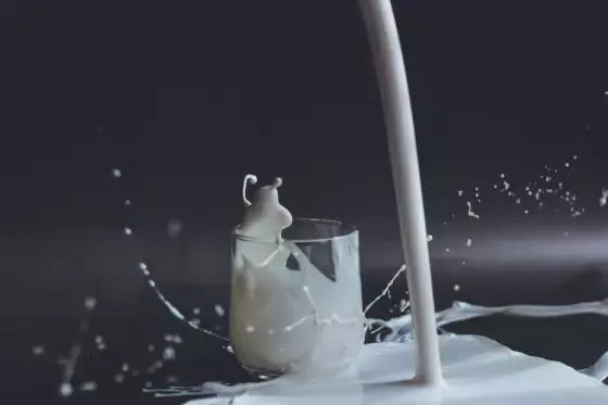 Säure-Basen-Haushalt: Sind Milchprodukte basisch?