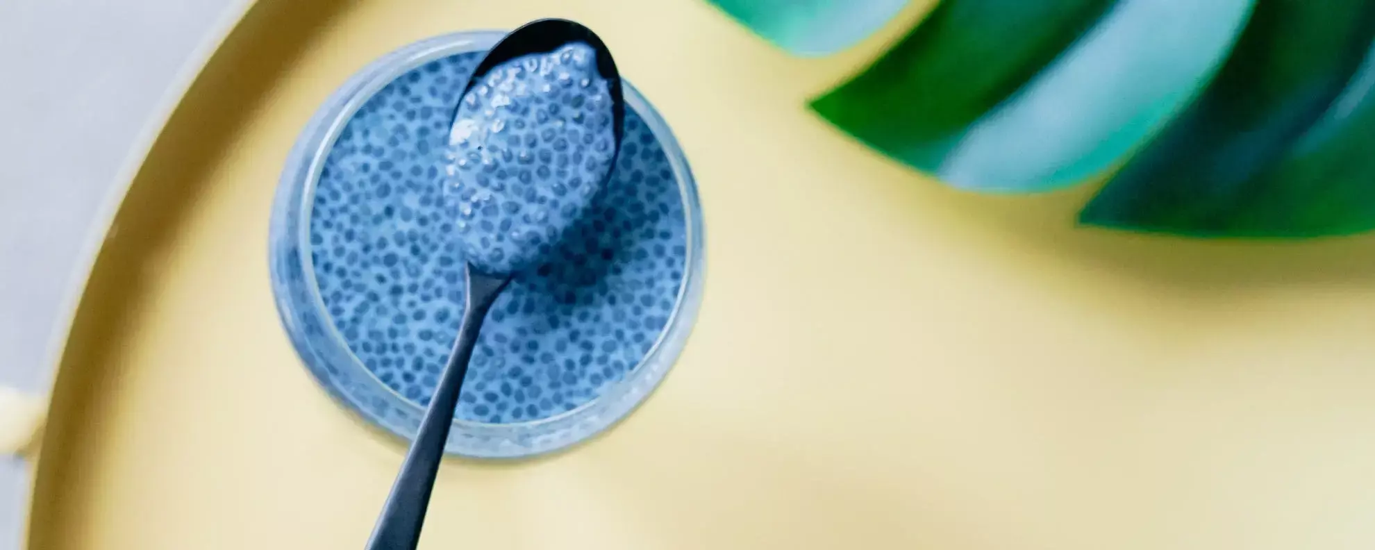 Warum sind Chiasamen so gesund? 5 Gründe