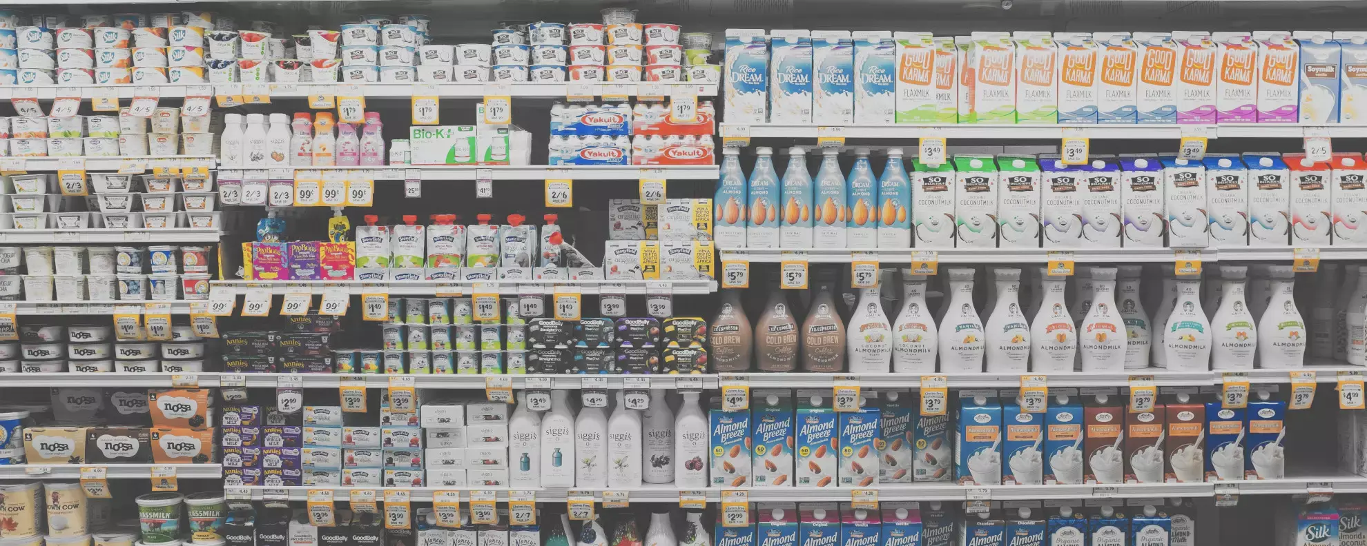 Was ist Markenbindung und wie erreicht man sie?