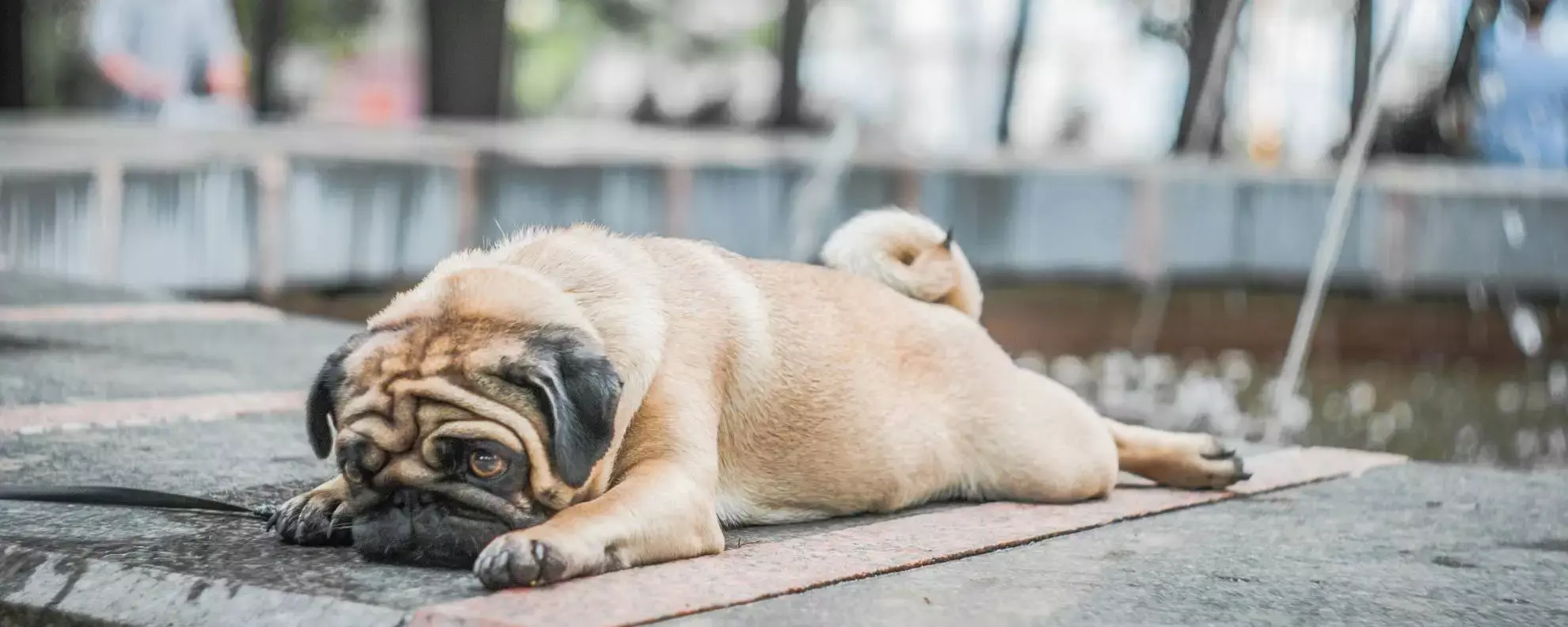 Körpersprache – nonverbale Kommunikation deuten und verbessern