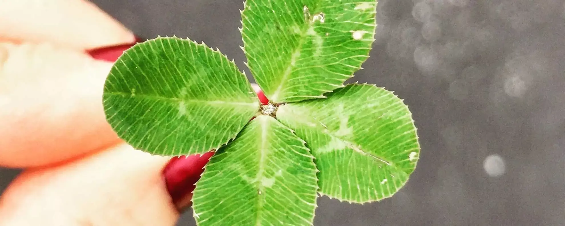 Was ist Glück? – 7 Tipps zum Glücklichsein