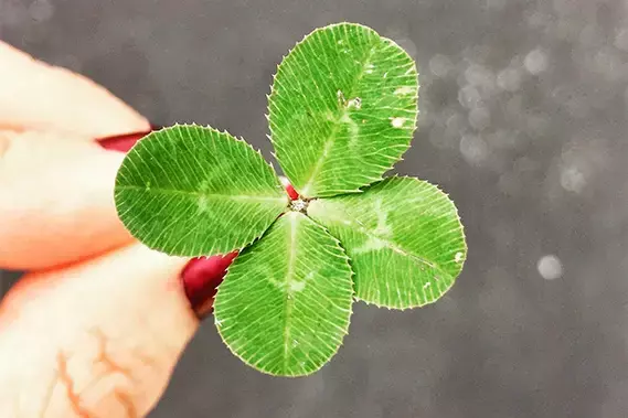 Was ist Glück? – 7 Tipps zum Glücklichsein