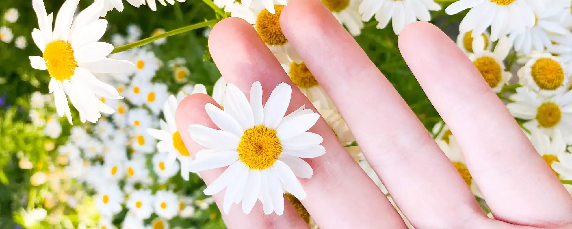 Innere Zufriedenheit: 7 praktische Tipps für mehr Lebensfreude